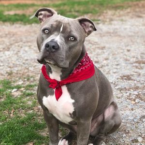 Meet your Posher, Lola